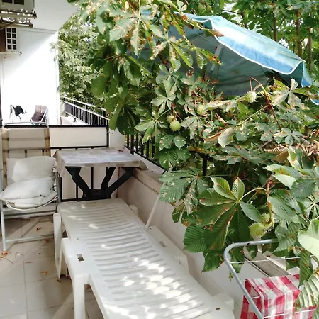 Grand Kamelia Complex 42 M 2 Floor Apartment